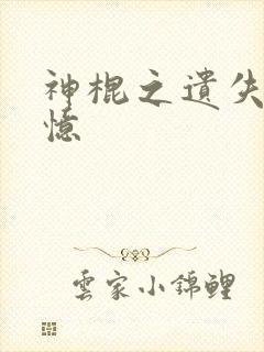 神棍之遗失的记忆