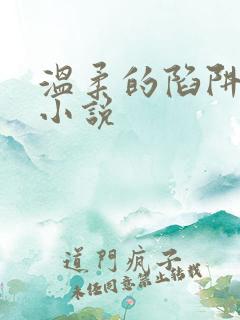 温柔的陷阱周芸小说