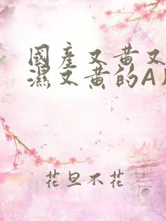 国产又黄又硬又湿又黄的A片小说