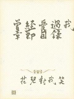 曾经爱过我刘念章节目录