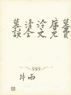 慕清泠席慕深小说全文免费阅读