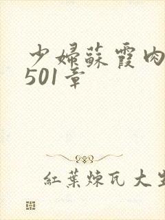 少妇苏霞肉欲第501章