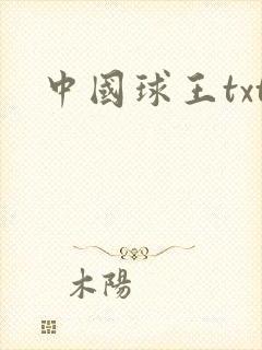 中国球王txt