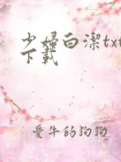 少妇白洁txt下载