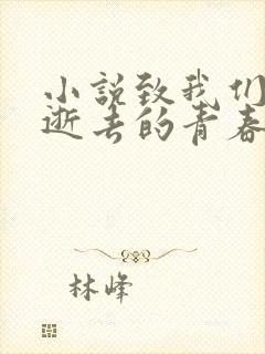 小说致我们终将逝去的青春