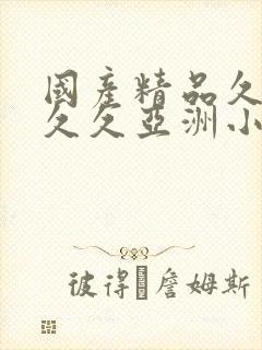 国产精品久久久久久亚洲小说