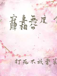 宠妻无度  金牌相公