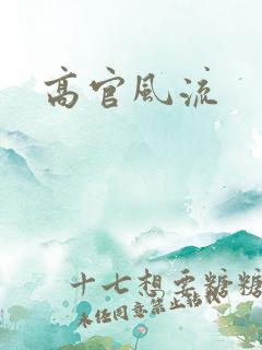 高官风流