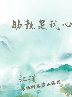 助教是我心尖宠