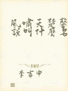 风啸天楚馨月小说叫什么名字