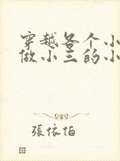 穿越各个小世界做小三的小说