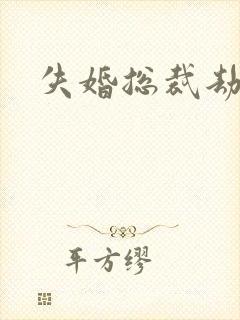 失婚总裁劫前妻