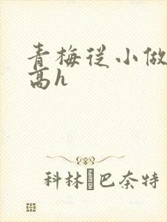 青梅从小做到大高h