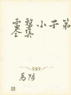 电击小子第二部全集