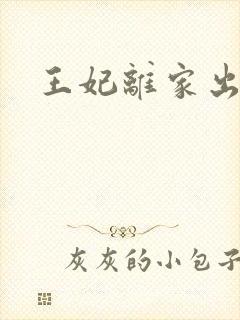 王妃离家出走