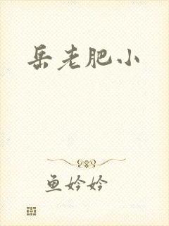 岳老肥小