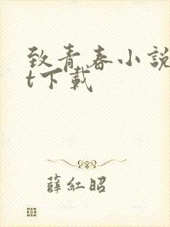 致青春小说txt下载