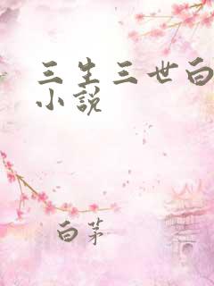 三生三世白暮泪小说