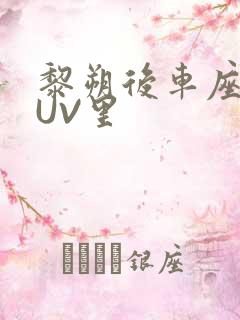 黎朔后车座上SUV里