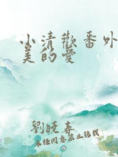 小清欢番外篇完美的爱