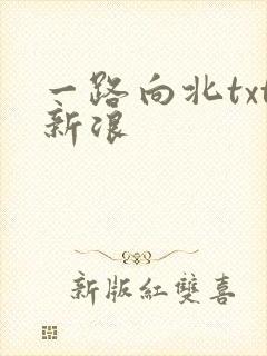 一路向北txt新浪