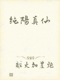 纯阳真仙
