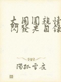 大团圆亲情会闪闪发光目录