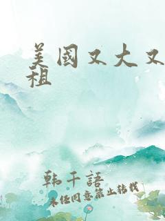 美国又大又长又租