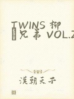 TWINS 柳澤兄弟 VOL.2