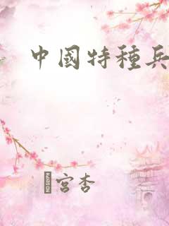 中国特种兵小说