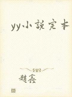 yy小说完本