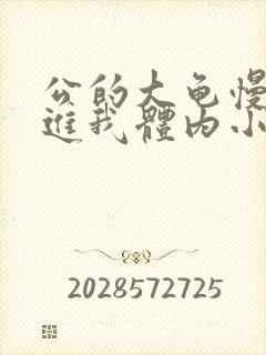 公的大龟慢慢挺进我体内小说