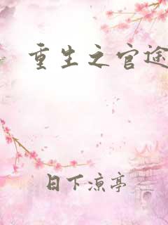 重生之官途辉煌