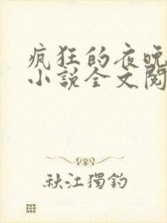 疯狂的夜晚苏柔小说全文阅读