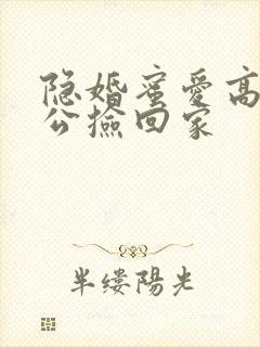 隐婚蜜爱高冷老公捡回家