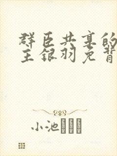 群臣共享的小公主银羽免背刺