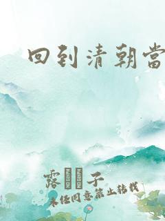 回到清朝当王妃