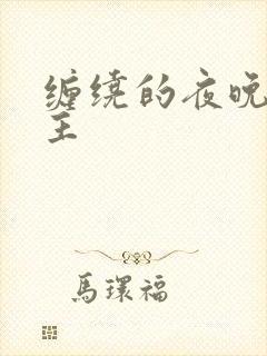 缠绕的夜晚双男主