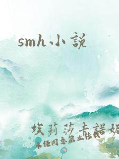 smh小说