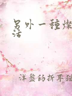 另外一种灿烂生活