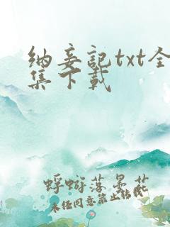 纳妾记txt全集下载