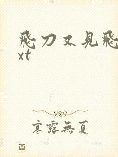 飞刀又见飞刀txt