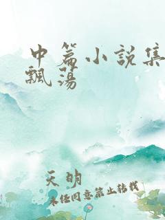 中篇小说集随风飘荡