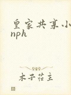 皇家共享小公主nph