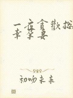 一夜贪欢总裁的幸孕妻