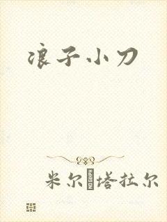 浪子小刀