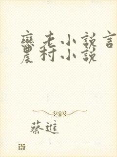 恋老小说言情网农村小说