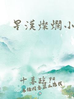 星汉灿烂小说