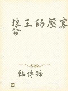 狼王的压寨小相公