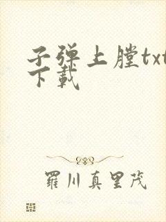 子弹上膛txt下载